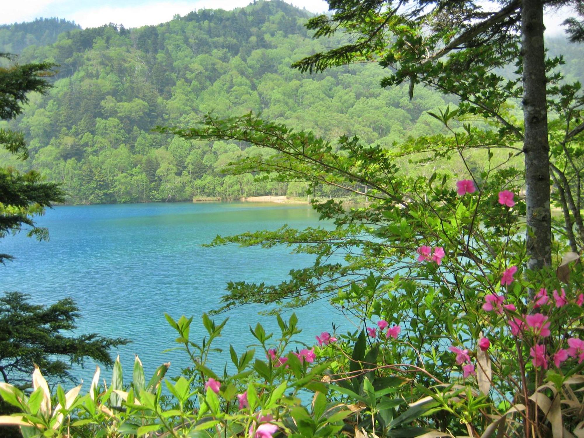 Kidoike Onsen Hotel Yamanouchi  Dış mekan fotoğraf