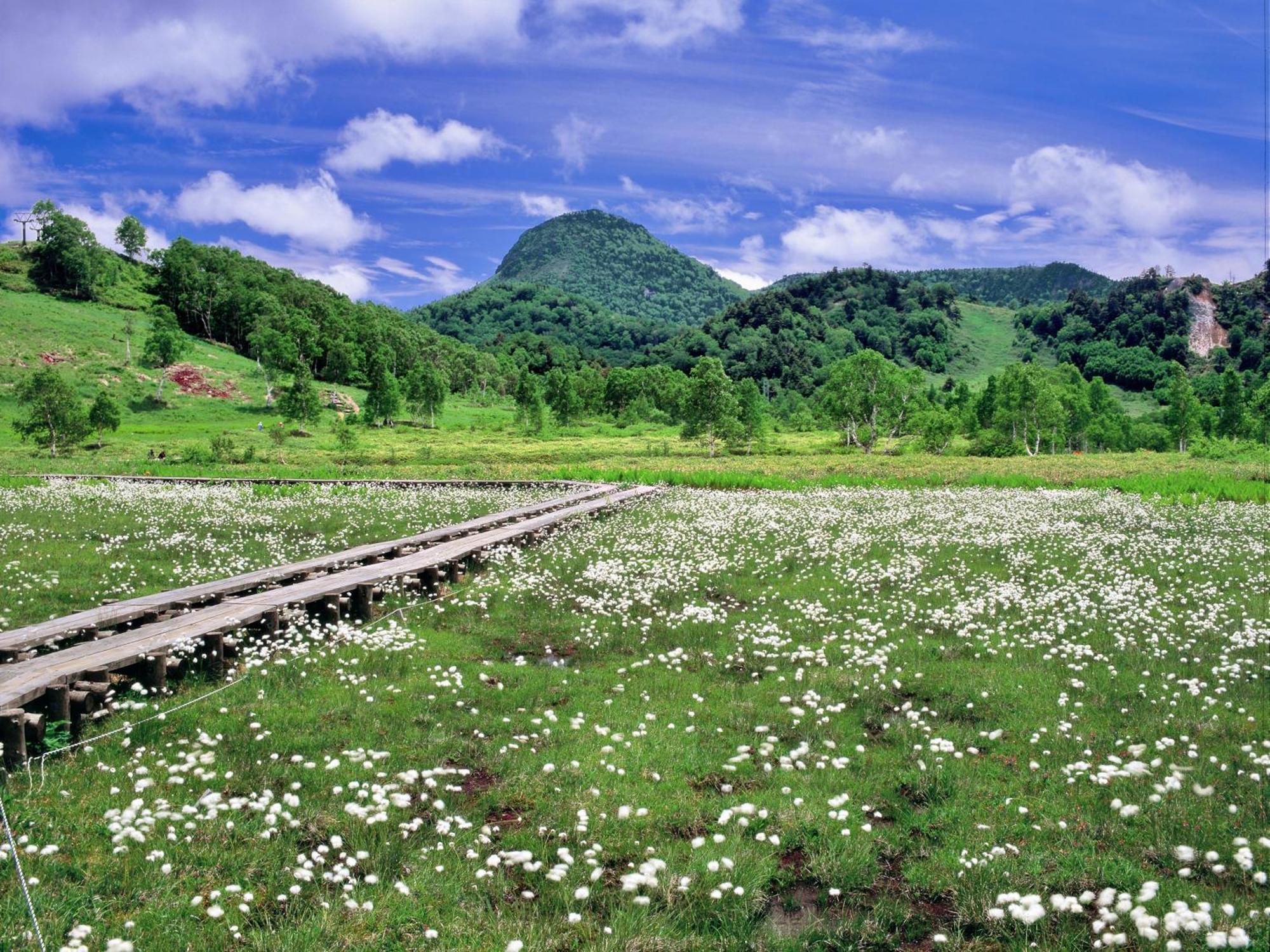 Kidoike Onsen Hotel Yamanouchi  Dış mekan fotoğraf