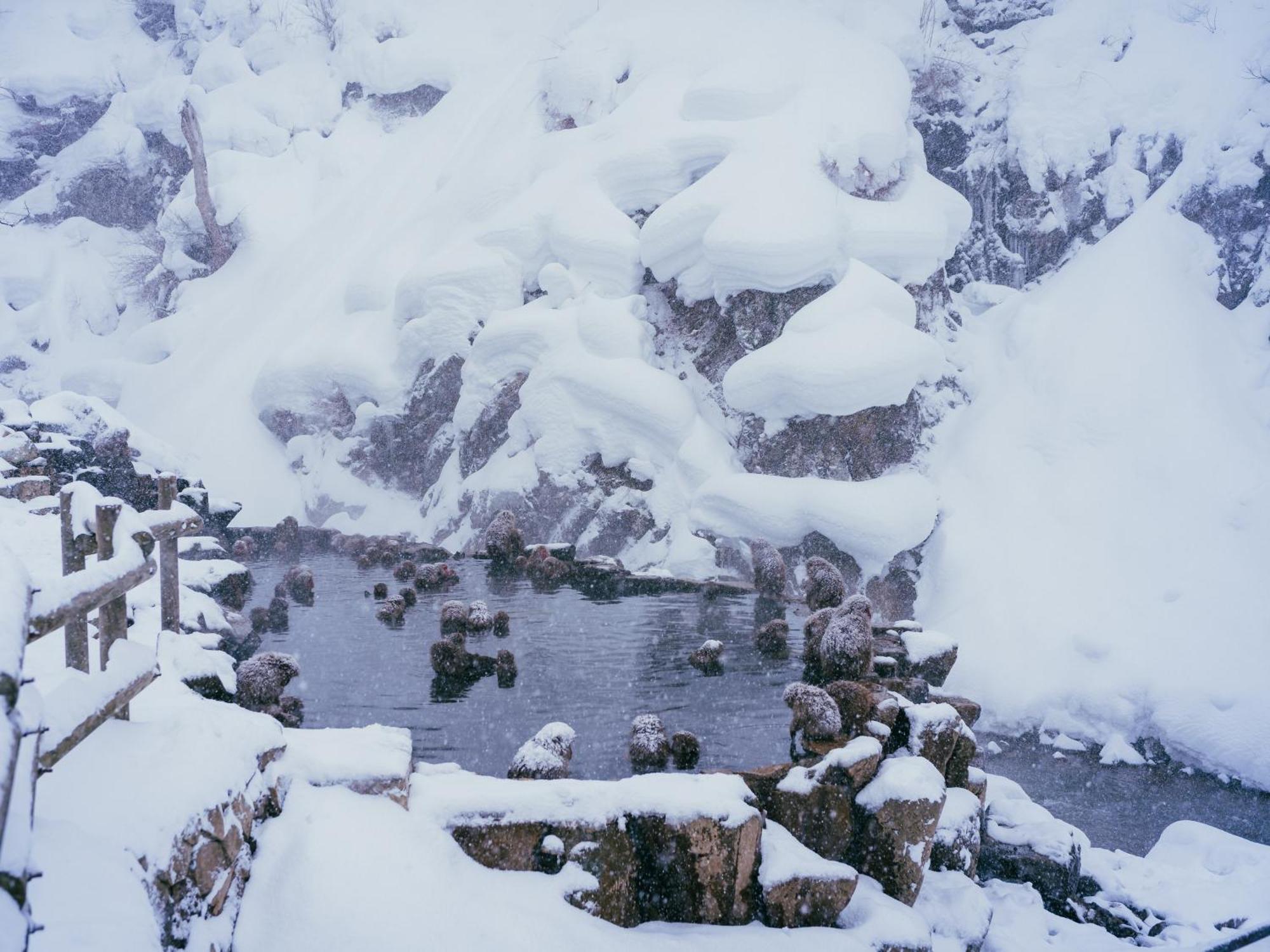 Kidoike Onsen Hotel Yamanouchi  Dış mekan fotoğraf