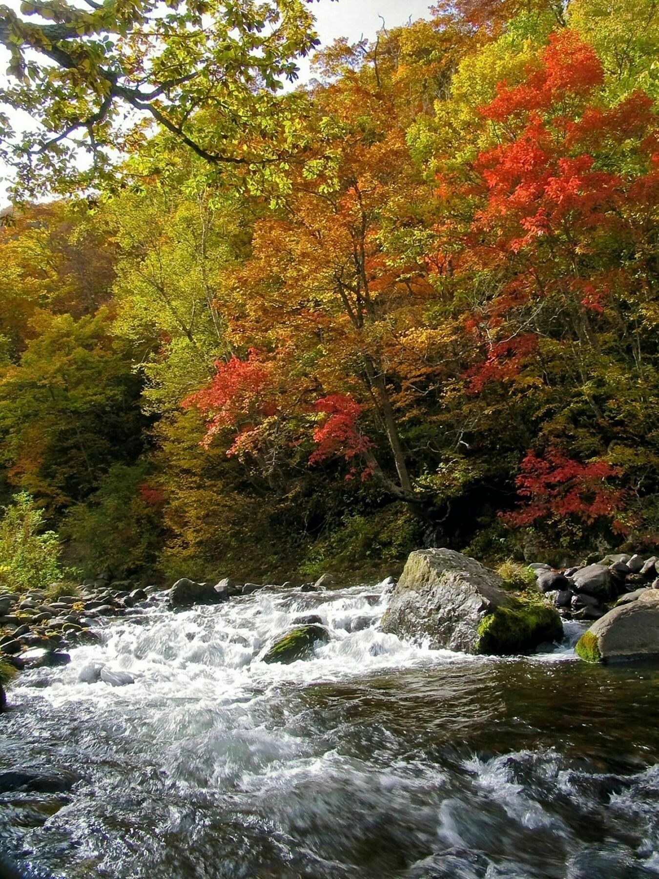 Kidoike Onsen Hotel Yamanouchi  Dış mekan fotoğraf